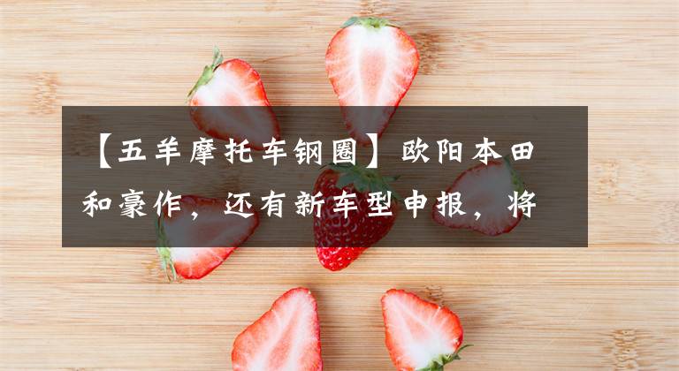 【五羊摩托车钢圈】欧阳本田和豪作，还有新车型申报，将提高配置，增加排放量文章配图