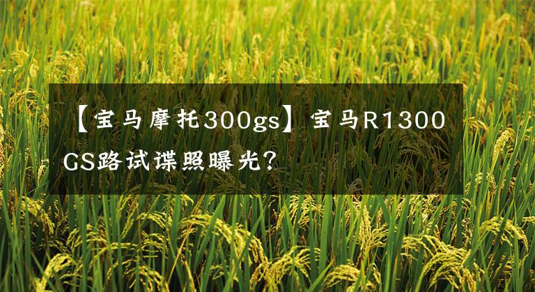 【宝马摩托300gs】宝马R1300GS路试谍照曝光？