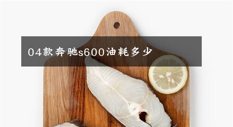 04款奔驰s600油耗多少文章配图
