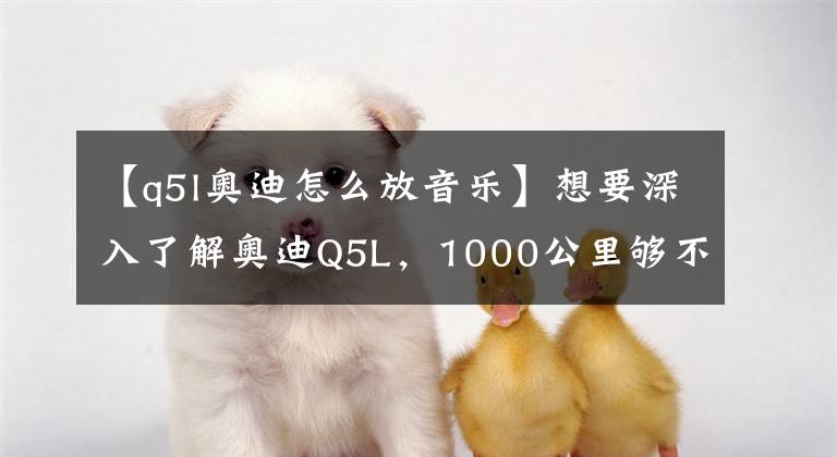 【q5l奥迪怎么放音乐】想要深入了解奥迪Q5L，1000公里够不够？｜新车速递