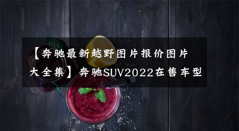 【奔驰最新越野图片报价图片大全集】奔驰SUV2022在售车型一览表（二）