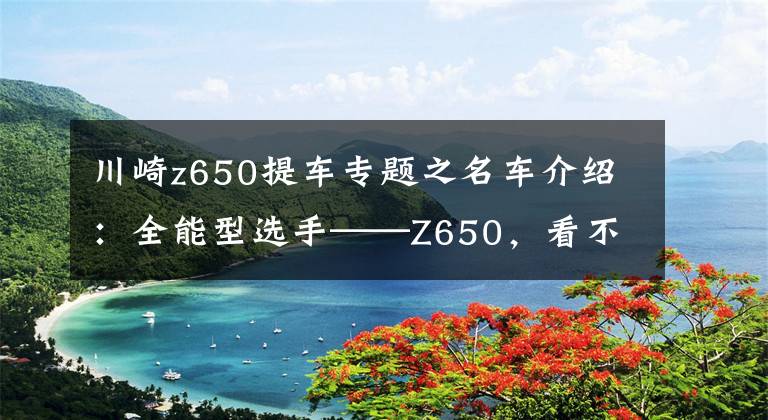 川崎z650提车专题之名车介绍：全能型选手——Z650，看不上川崎Z400就选它