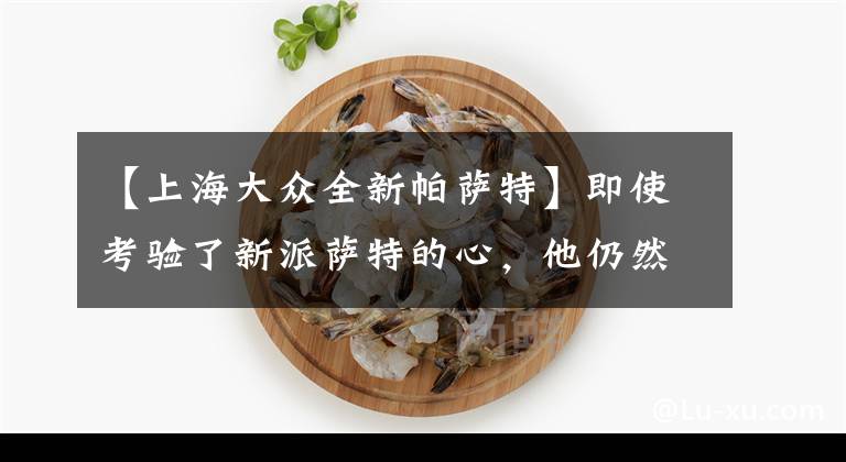 【上海大众全新帕萨特】即使考验了新派萨特的心，他仍然诚实地走着。