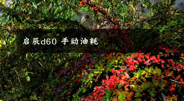 启辰d60 手动油耗