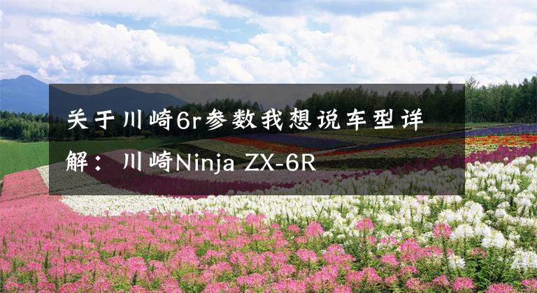 关于川崎6r参数我想说车型详解：川崎Ninja ZX-6R