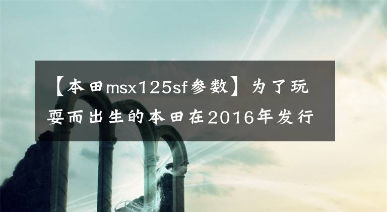 【本田msx125sf参数】为了玩耍而出生的本田在2016年发行了新型猴子MSX 125