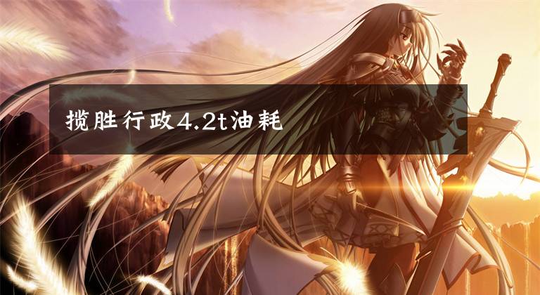 揽胜行政4.2t油耗文章配图