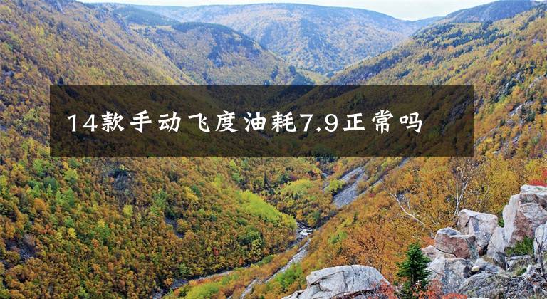 14款手动飞度油耗7.9正常吗文章配图