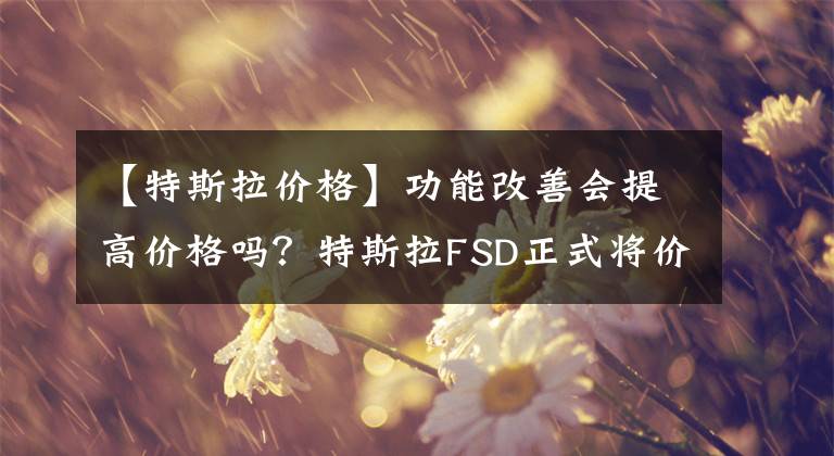 【特斯拉价格】功能改善会提高价格吗？特斯拉FSD正式将价格提高到15000美元