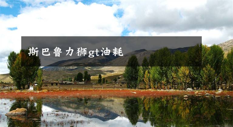 斯巴鲁力狮gt油耗文章配图