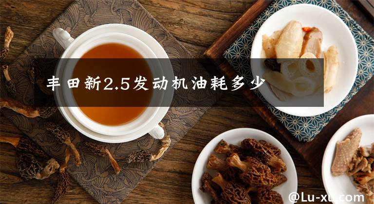 丰田新2.5发动机油耗多少文章配图