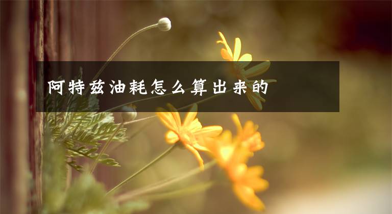 阿特兹油耗怎么算出来的文章配图