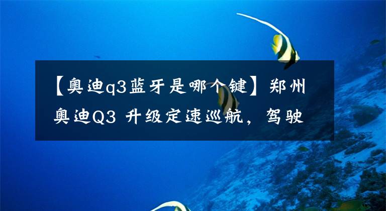 【奥迪q3蓝牙是哪个键】郑州 奥迪Q3 升级定速巡航，驾驶模式，蓝牙电话。刷隐藏功能