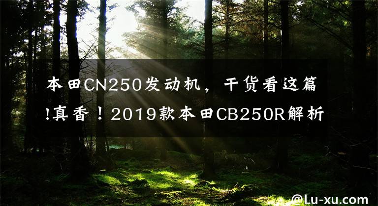 本田CN250发动机，干货看这篇!真香！2019款本田CB250R解析文章配图