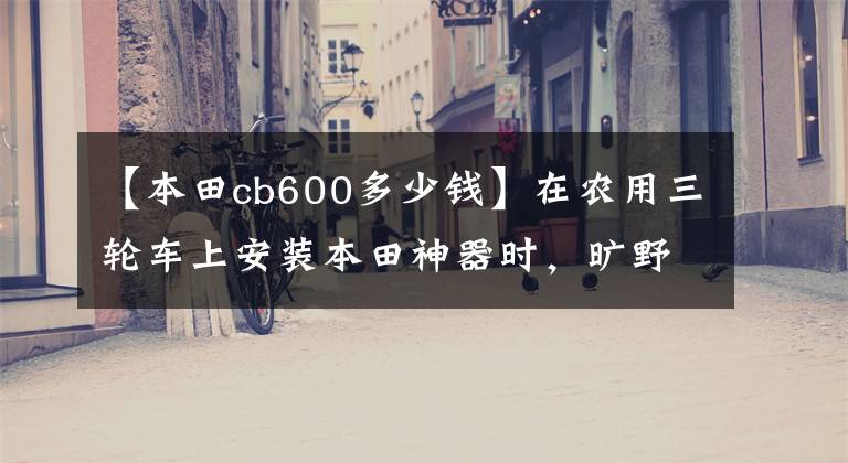 【本田cb600多少钱】在农用三轮车上安装本田神器时，旷野很快就结冰了。