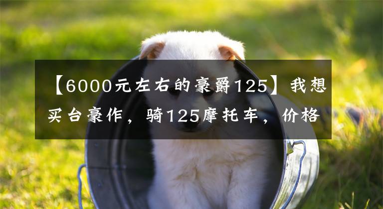 【6000元左右的豪爵125】我想买台豪作，骑125摩托车，价格是5 ~ 6千韩元。哪个型号耐用？文章配图