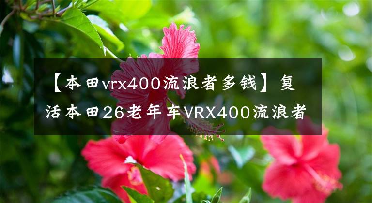 【本田vrx400流浪者多钱】复活本田26老年车VRX400流浪者