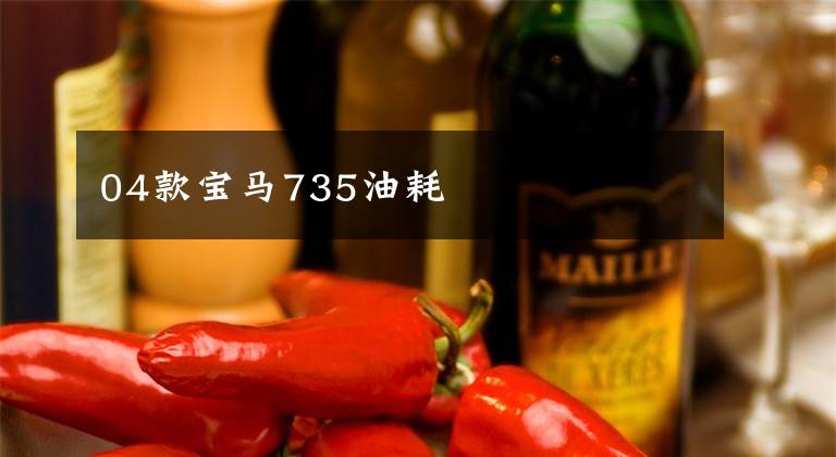 04款宝马735油耗文章配图