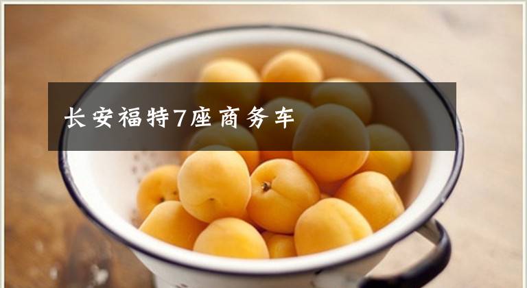 长安福特7座商务车文章配图