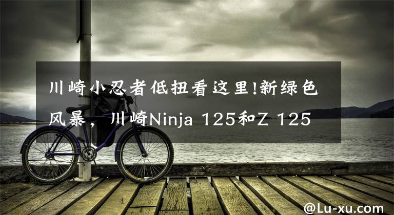 川崎小忍者低扭看这里!新绿色风暴，川崎Ninja 125和Z 125骑着有什么体验？文章配图