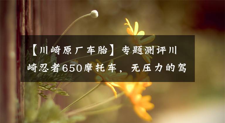 【川崎原厂车胎】专题测评川崎忍者650摩托车，无压力的驾驶快感