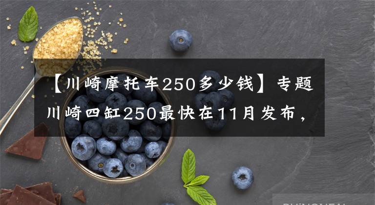 【川崎摩托车250多少钱】专题川崎四缸250最快在11月发布，约合50500元起？