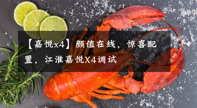 【嘉悦x4】颜值在线，惊喜配置，江淮嘉悦X4调试文章配图
