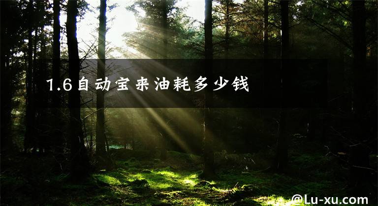 1.6自动宝来油耗多少钱文章配图