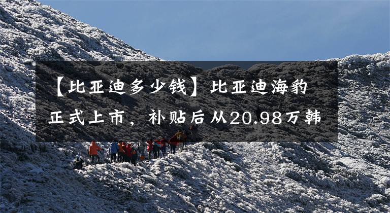 【比亚迪多少钱】比亚迪海豹正式上市，补贴后从20.98万韩元开始销售文章配图