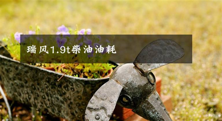 瑞风1.9t柴油油耗文章配图