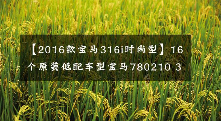 【2016款宝马316i时尚型】16个原装低配车型宝马780210 363繫购买手册