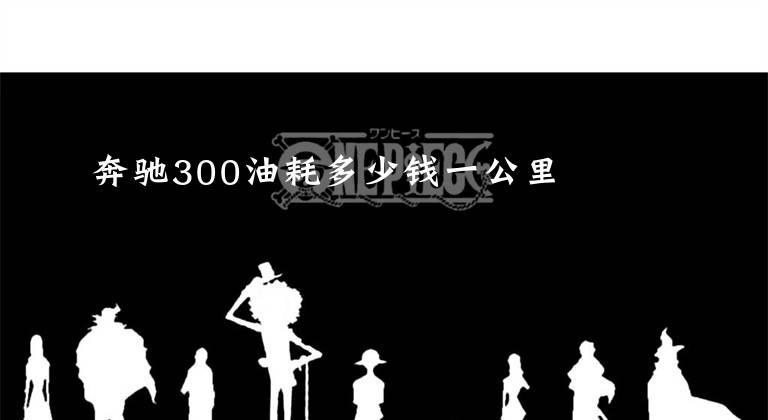 奔驰300油耗多少钱一公里