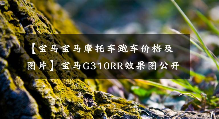 【宝马宝马摩托车跑车价格及图片】宝马G310RR效果图公开，颜值到位！