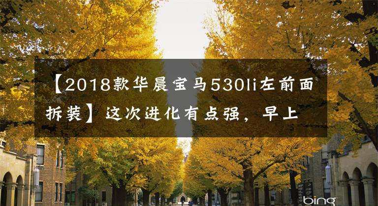 【2018款华晨宝马530li左前面拆装】这次进化有点强，早上试驾了宝马530Li  xDriveM。