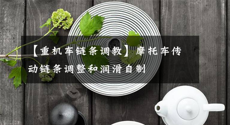 【重机车链条调教】摩托车传动链条调整和润滑自制文章配图