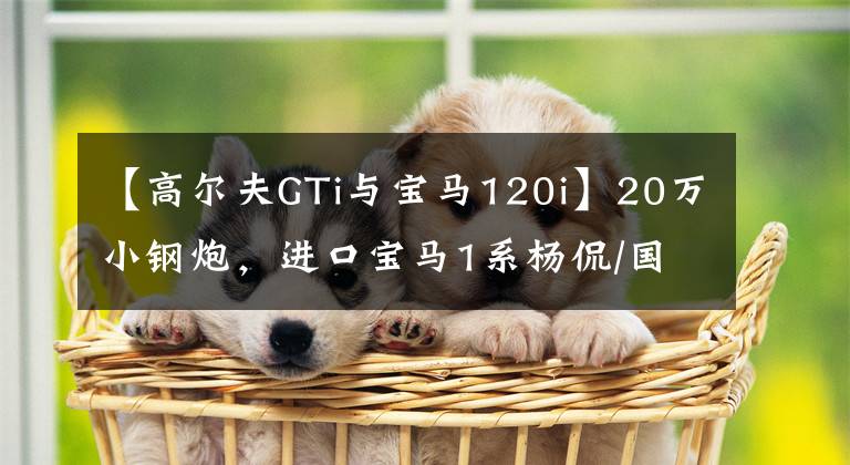 【高尔夫GTi与宝马120i】20万小钢炮，进口宝马1系杨侃/国产高尔夫GTI怎么选？