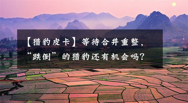 【猎豹皮卡】等待合并重整，“跌倒”的猎豹还有机会吗？文章配图