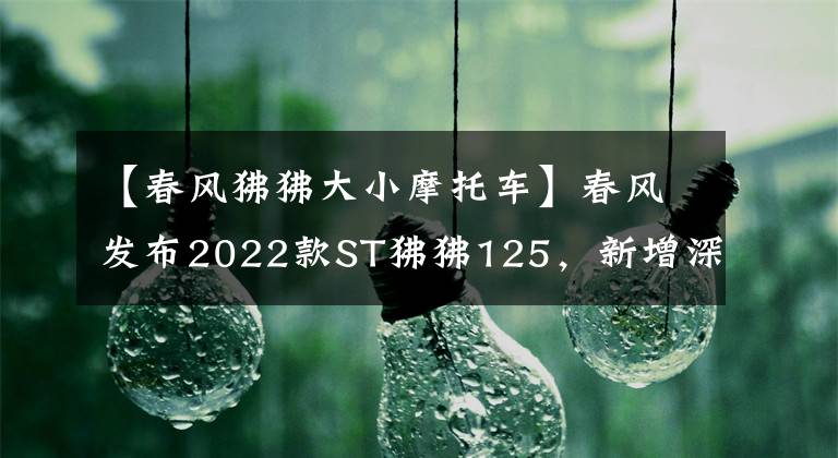 【春风狒狒大小摩托车】春风发布2022款ST狒狒125，新增深空灰色，售价8980元文章配图