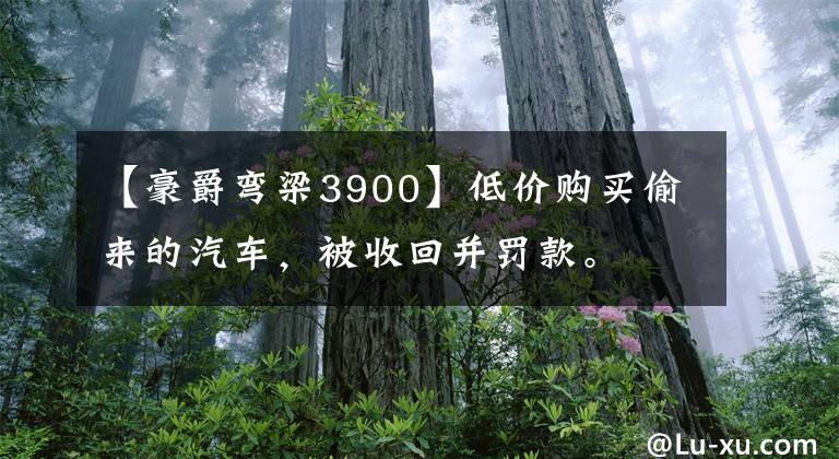 【豪爵弯梁3900】低价购买偷来的汽车，被收回并罚款。文章配图