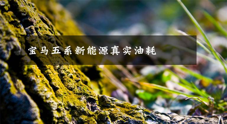 宝马五系新能源真实油耗文章配图