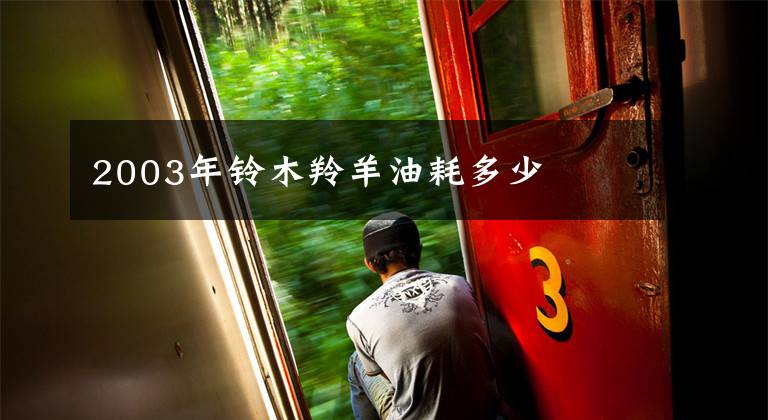 2003年铃木羚羊油耗多少文章配图
