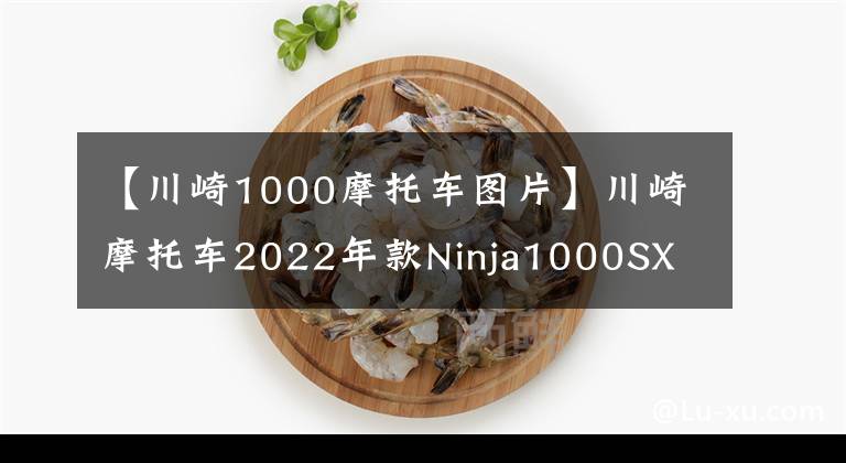 【川崎1000摩托车图片】川崎摩托车2022年款Ninja1000SX 新色发布