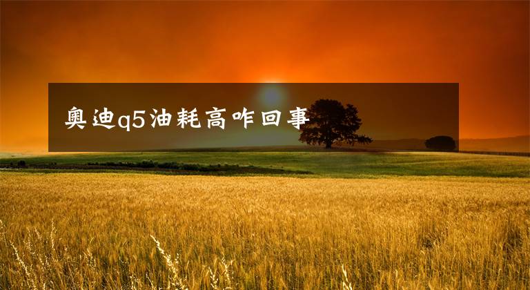 奥迪q5油耗高咋回事文章配图