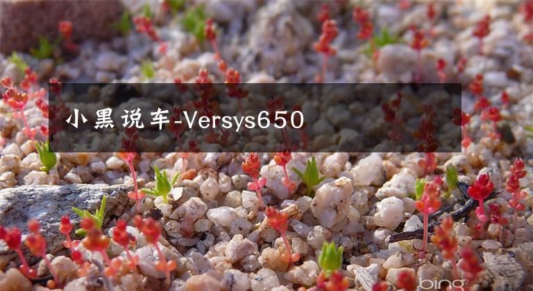 小黑说车-Versys650文章配图