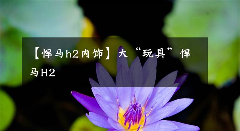 【悍马h2内饰】大“玩具”悍马H2文章配图