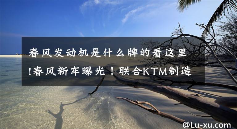 春风发动机是什么牌的看这里!春风新车曝光！联合KTM制造LC8发动机