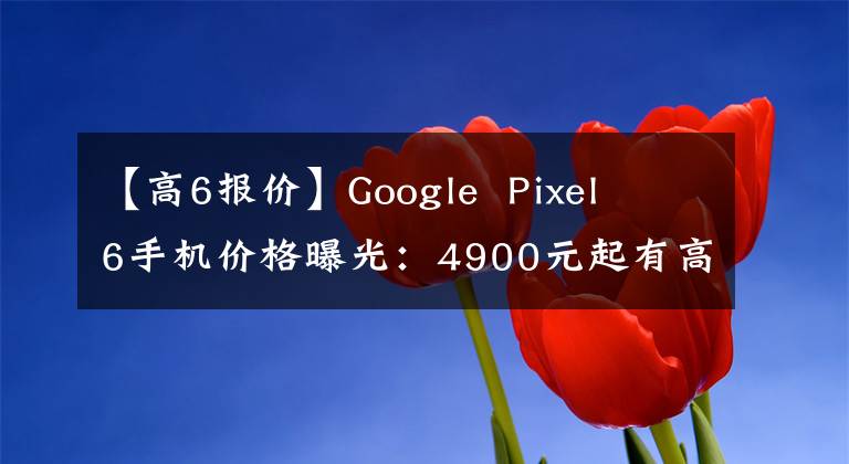 【高6报价】Google Pixel 6手机价格曝光：4900元起有高低之分。