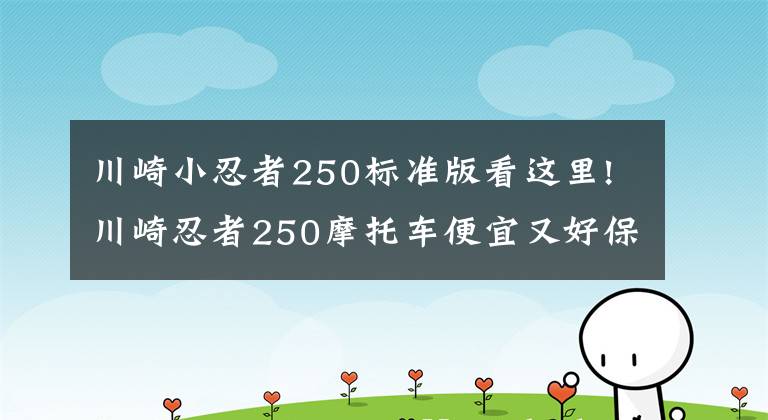 川崎小忍者250标准版看这里!川崎忍者250摩托车便宜又好保养