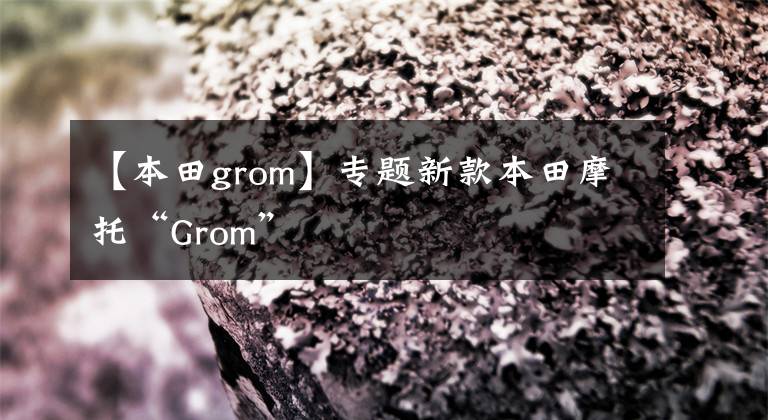 【本田grom】专题新款本田摩托“Grom”文章配图
