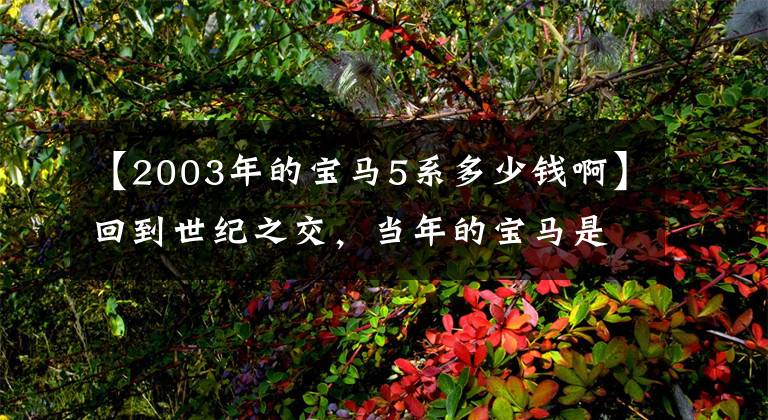 【2003年的宝马5系多少钱啊】回到世纪之交，当年的宝马是最厚道的，只是活得太少了。